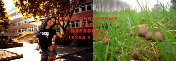 круглые Козельск