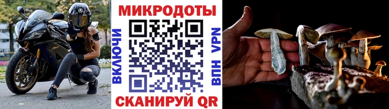 что такое наркотик  Орлов  Псилоцибиновые грибы Psilocybine cubensis 